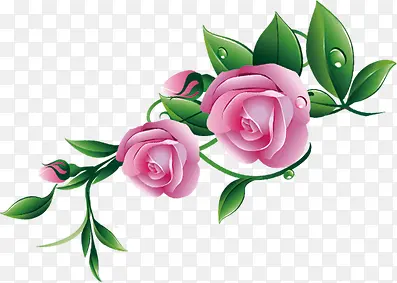 春天手绘粉色玫瑰
