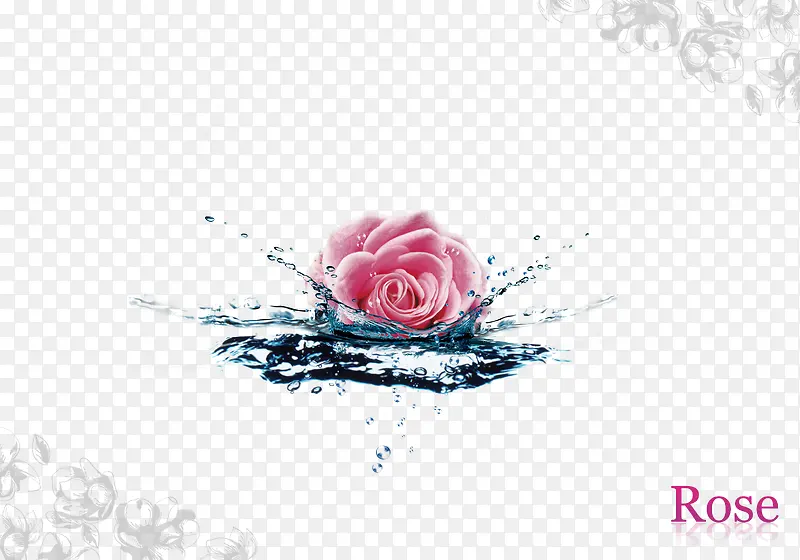 水上粉色玫瑰