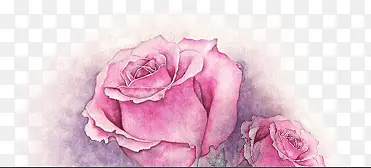 彩绘粉色玫瑰图片
