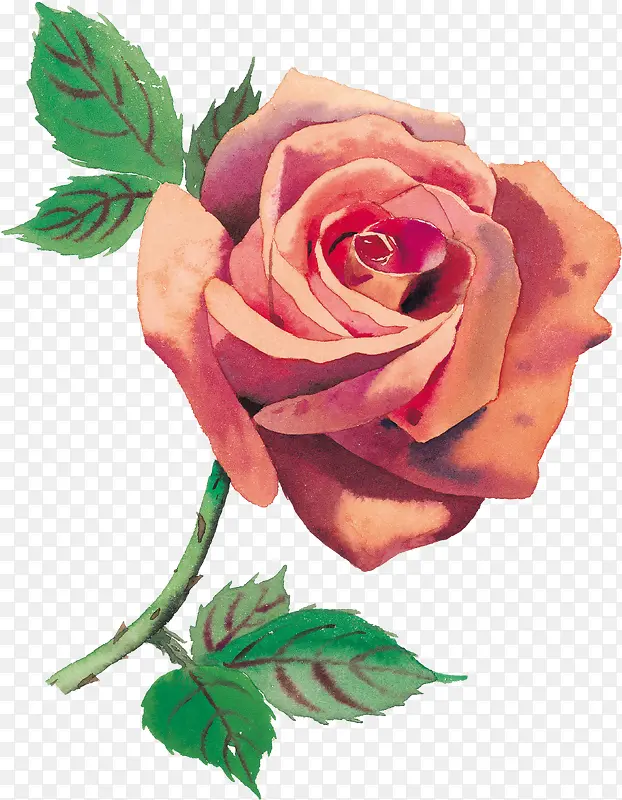 花卉