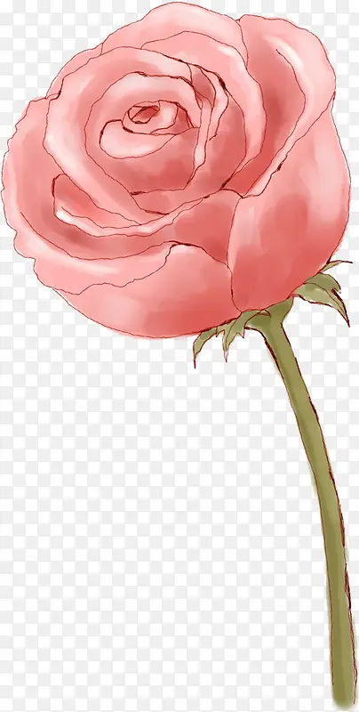 手绘浪漫玫瑰花朵