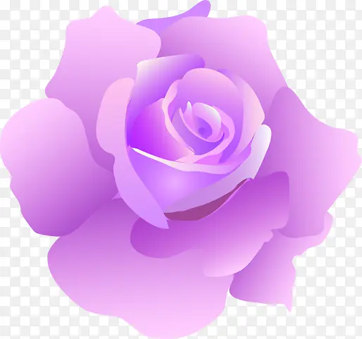 紫色分层花朵玫瑰可爱