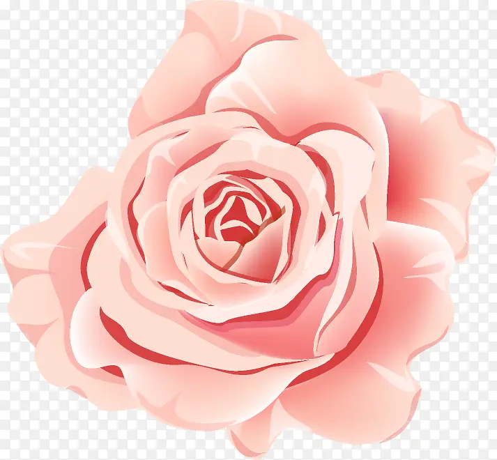 粉色玫瑰贴画素材