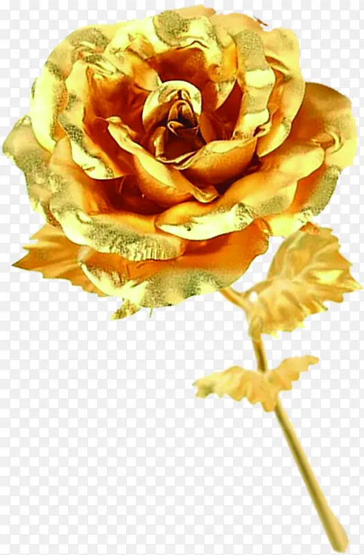 金箔玫瑰花朵礼物