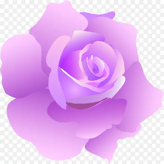 紫色卡通玫瑰花朵