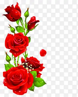 大红色玫瑰花朵元素