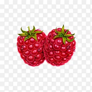 手绘红色树莓
