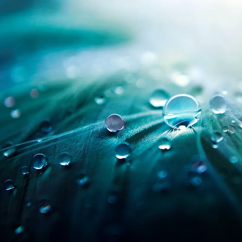 小清新水珠壁纸图片