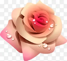 米色手绘水珠玫瑰七夕情人节