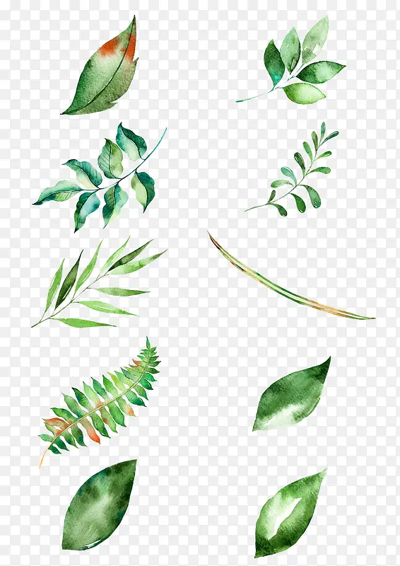 绿色卡通手绘植物树叶