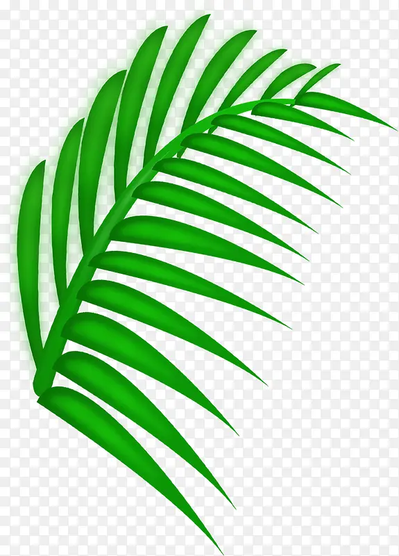 绿色手绘植物树叶特效