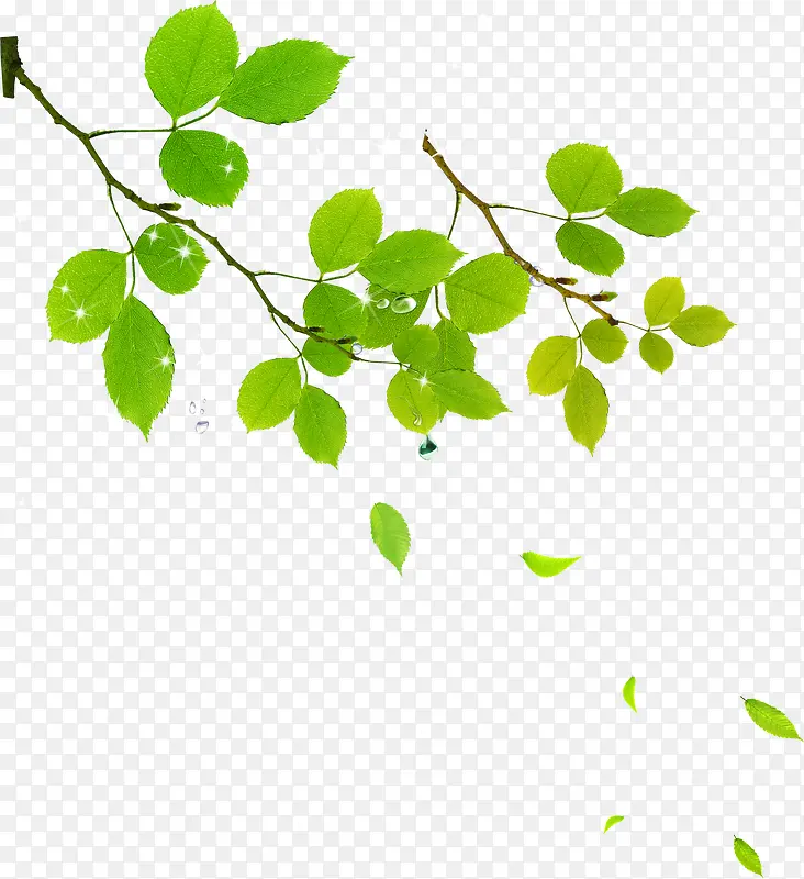 绿色清爽漂浮树叶春季