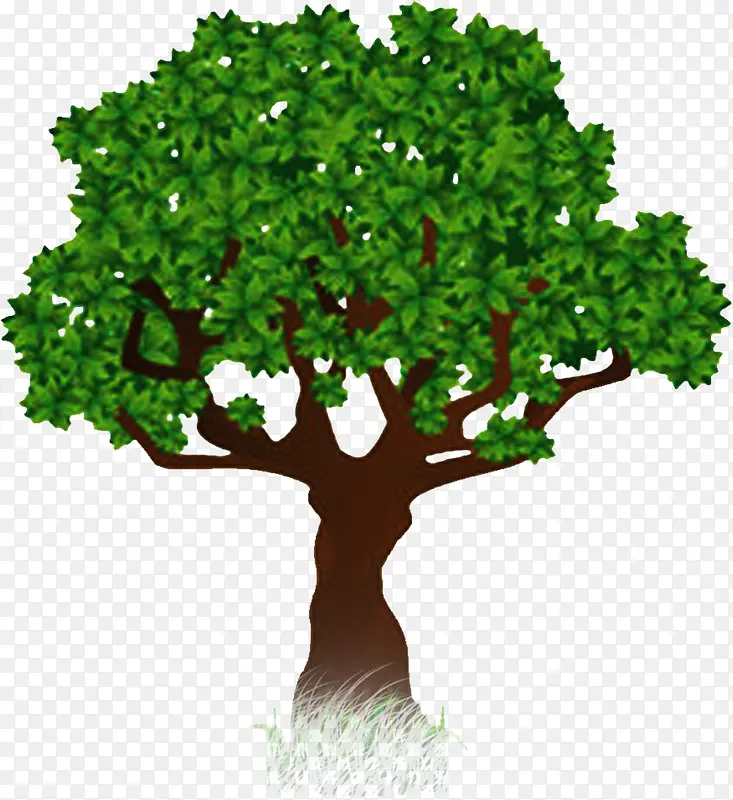 绿色植物树叶大树