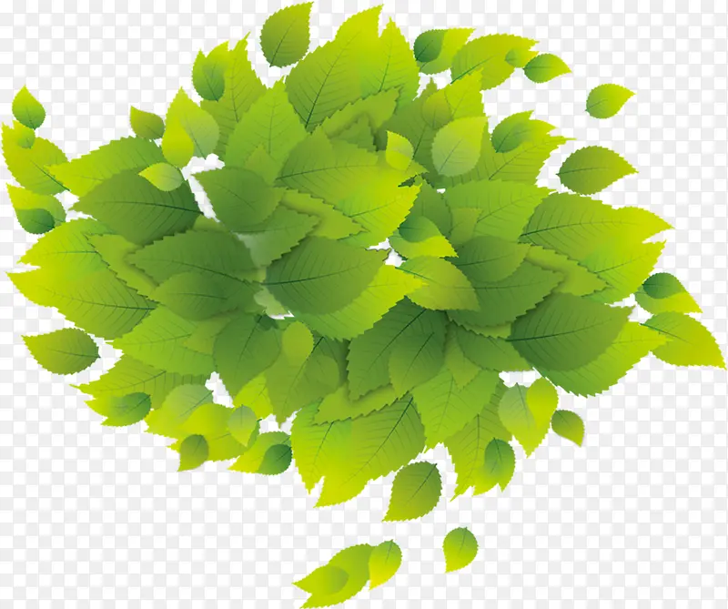创意手绘质感绿色的树叶边框