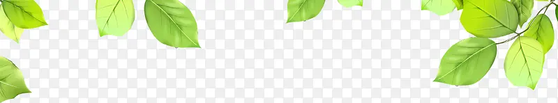 绿色春天时尚树叶美景PNG图片素材下载_图片编号yemxjoaa-免抠素材网