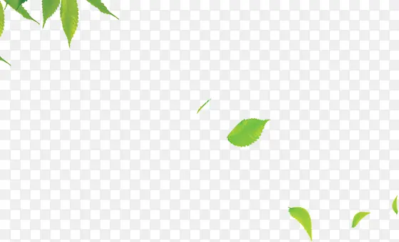 绿色海报植物树叶白底图