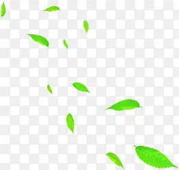 绿色漂浮设计树叶装饰
