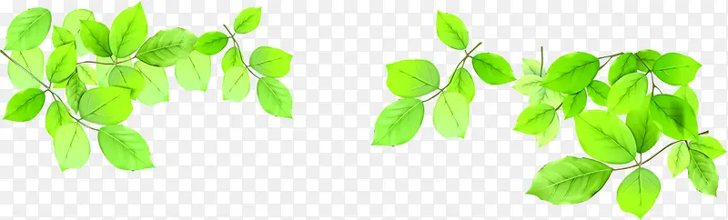 创意合成手绘绿色的植物树叶造型