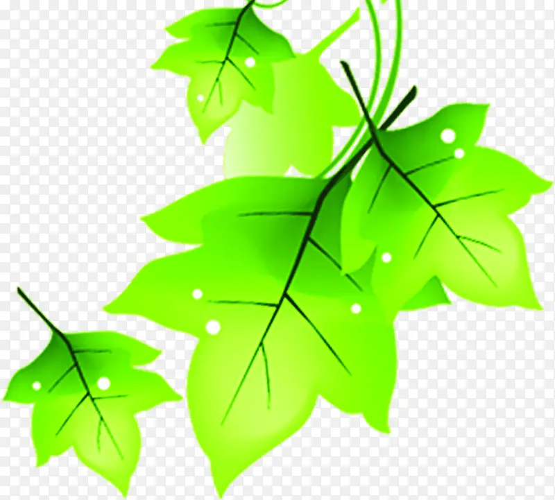 创意合成质感绿色的树叶造型效果