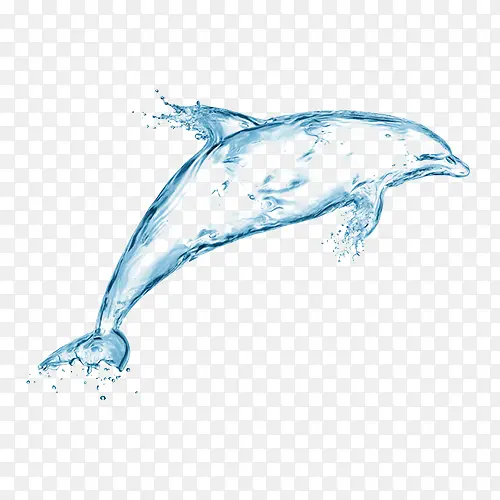 水滴海豚