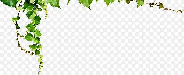 绿色春天美景设计树叶PNG图片素材下载_图片编号ygeznweb-免抠素材网