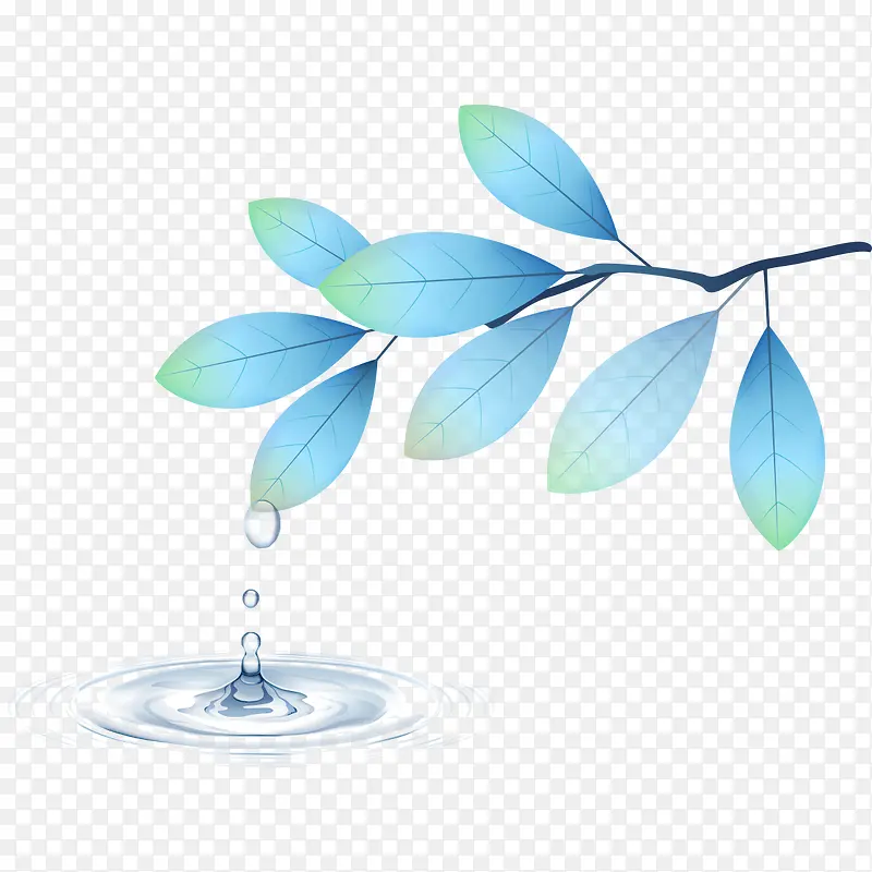 水滴树叶