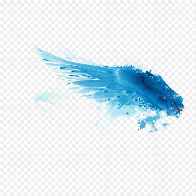 蓝色水翅膀