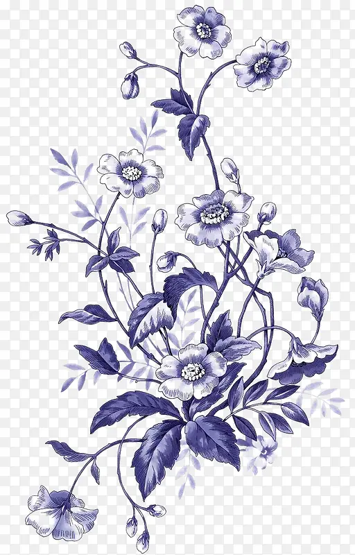 花朵盛开的植物插画免扣素材