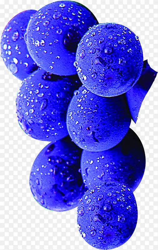 高清蓝色带水滴蓝莓水果