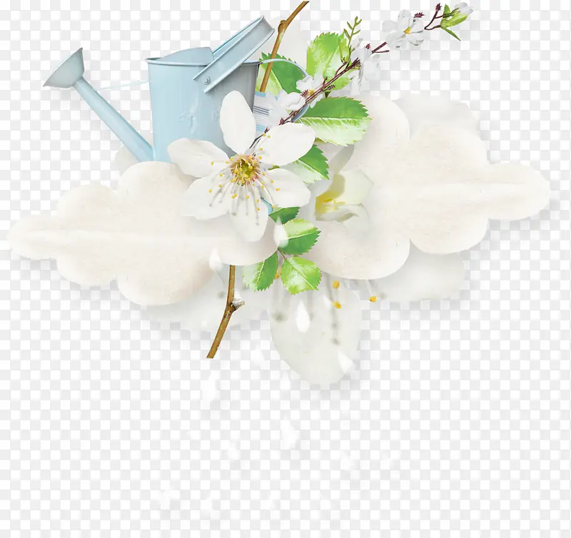 水壶绿叶白色小花