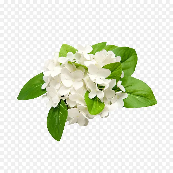 白色小花简单装饰