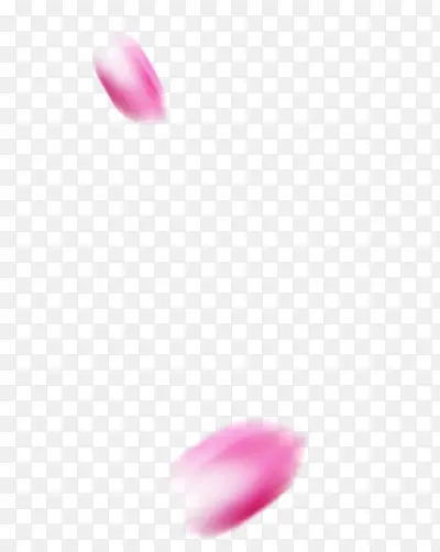 红色花瓣两朵花瓣