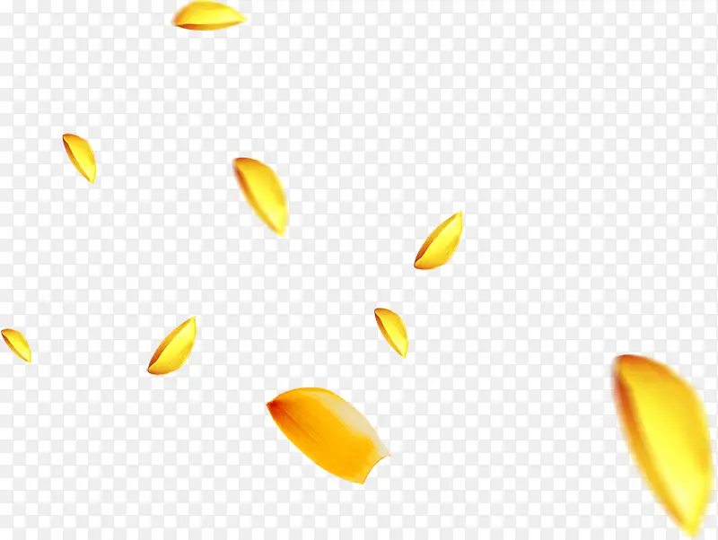 黄色金色漂浮花瓣