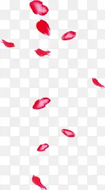红色热情花瓣手绘