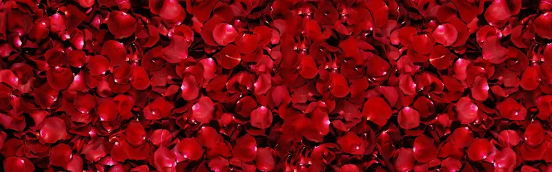 红色花瓣唯美浪漫