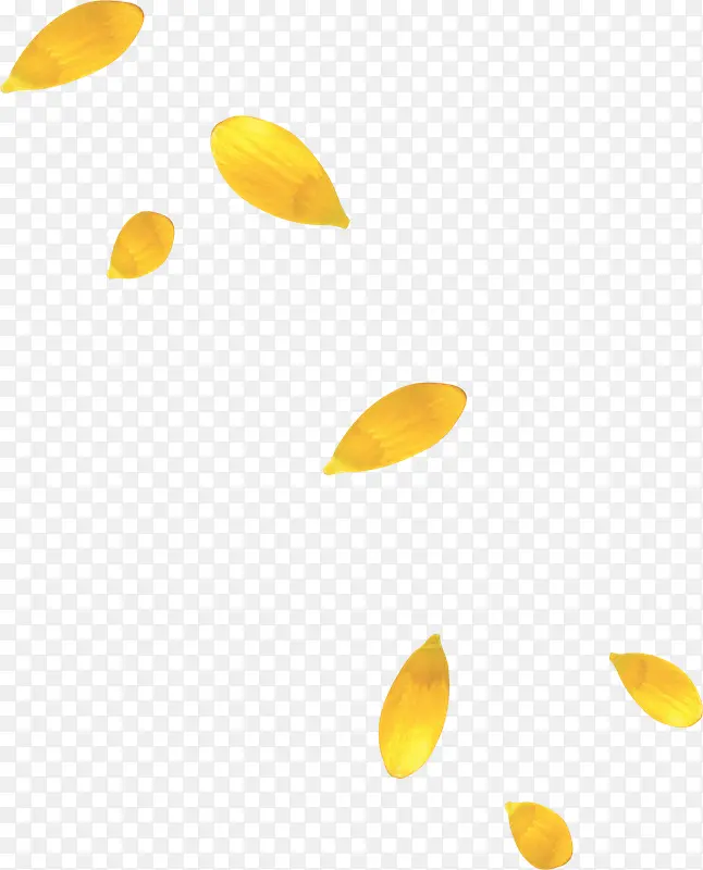 黄色花瓣漂浮
