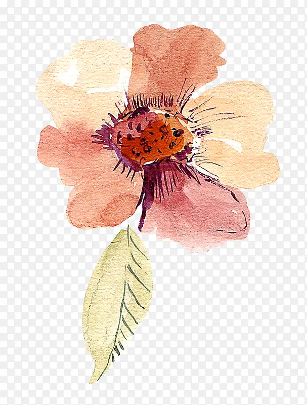 卡通手绘水彩花卉