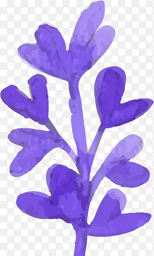 手绘水彩花卉