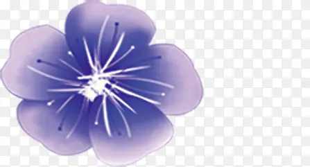 紫色手绘水彩花朵