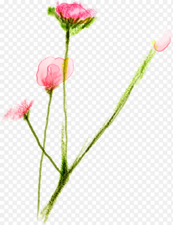 手绘粉色花卉水彩素材