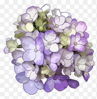 手绘紫色水彩花朵