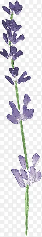 手绘紫色水彩复古花朵