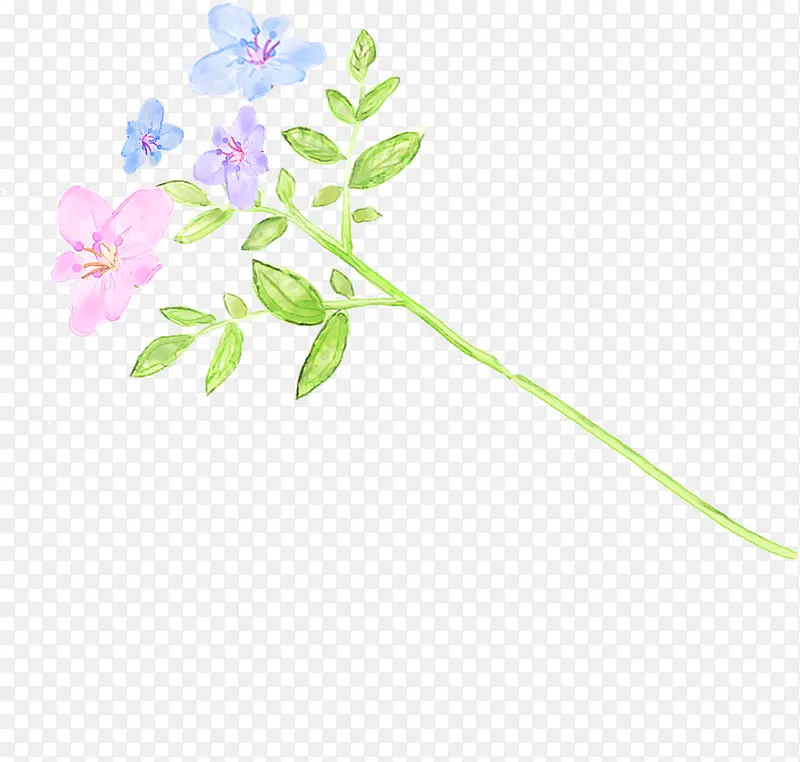 手绘蓝粉色水彩花朵