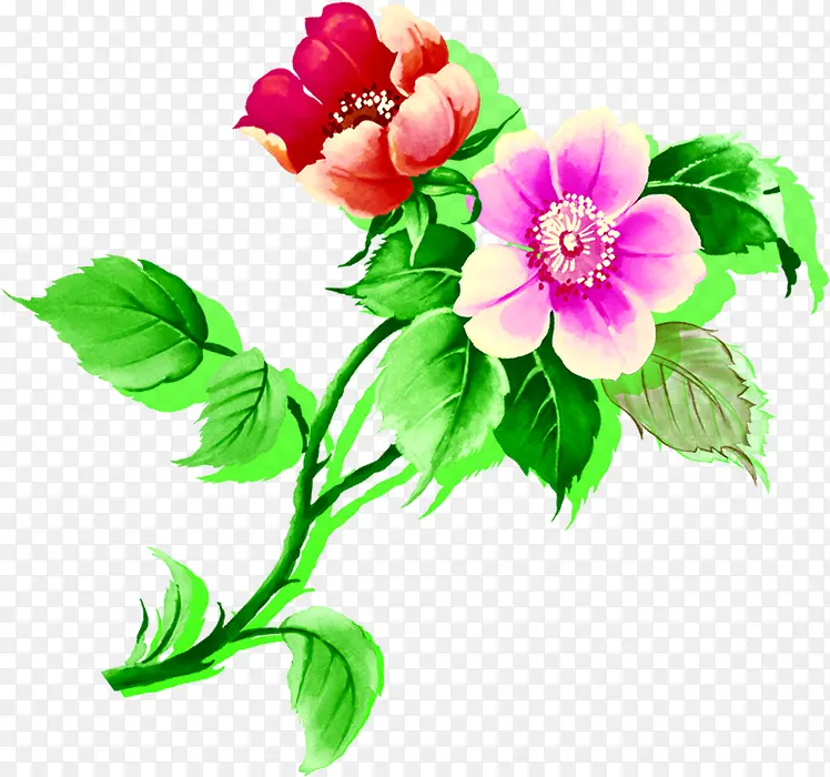 水彩设计手绘花朵植物