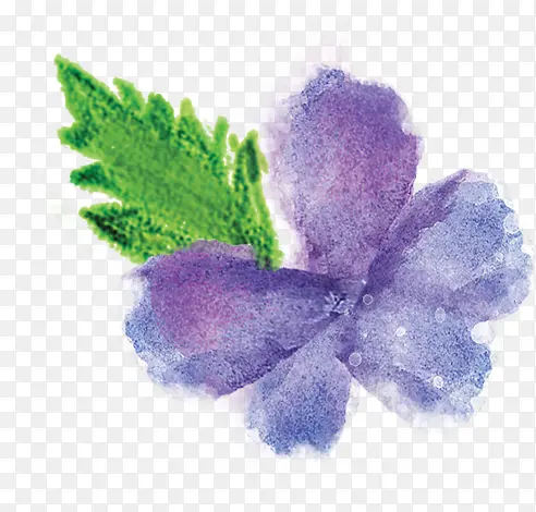 手绘紫色花朵水彩