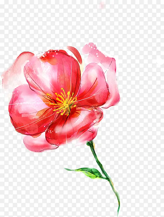创意手绘水彩红色的花朵植物