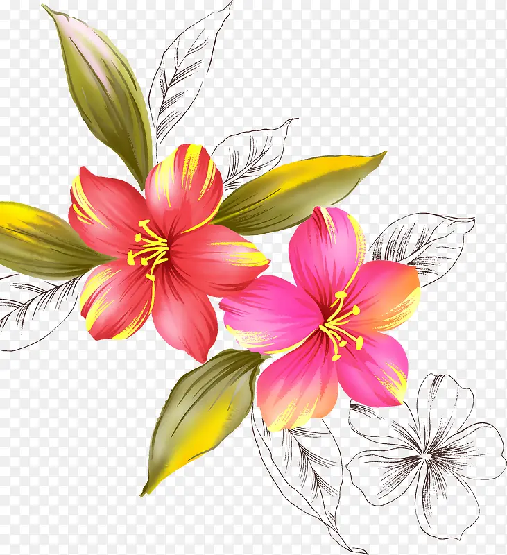 手绘花朵