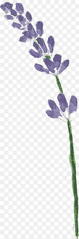 手绘水彩复古紫色花朵