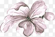 手绘紫色水彩花朵装饰