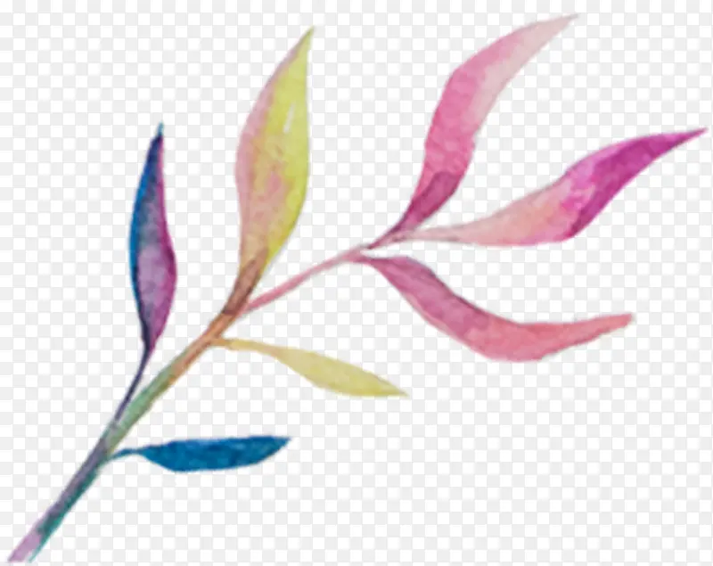 春季粉色水彩植物树叶PNG图片素材下载_图片编号ydxjzbom-免抠素材网